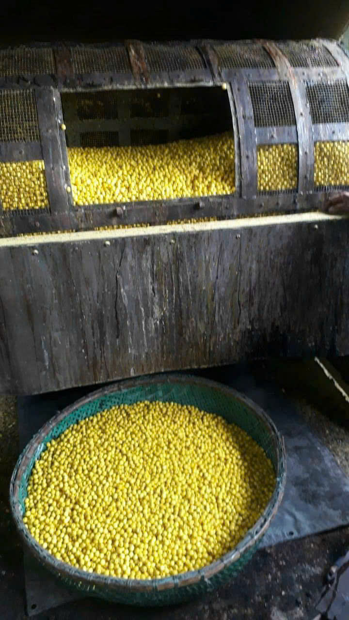 โกลเด้น