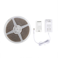 Bande lumineuse LED Smart Matter COB HomeKit Tuya App Control Couleur RGB CCT Réglable Gradation Lisse Basse Tension Haute Luminosité