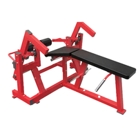 Équipement d'entraînement musculaire commercial pour l'extension dorsale