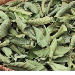 Высокое качество, оптовая продажа, новые высушенные натуральные листья псидия гуахава, не экстракт для продажи - Product Image 2