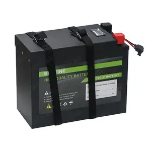 맞춤형 12V 24V 48V 72V 52AH 100Ah 200Ah 300Ah 400Ah 리튬 이온 배터리 딥 사이클 인산염 배터리