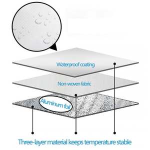 Bolsa de Comida para Llevar de Alta Calidad, No Tejida, con Diseño Impreso, Bolsas Laminadas No Tejidas OEM con Bolsa Aislada de Papel de Aluminio - Product Image 3