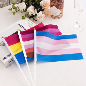 Venta al por mayor Mini de mano Arco Iris transgénero LGBTQ Bisexual progreso orgullo bandera poliéster y algodón banderín ondeante - Product Image 2
