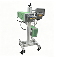 Marqueur laser CO2 IPS-LC60 F MG, machine de marquage laser plastique, marquage de logo, 60W, zone de travail optionnelle 300mm x 300mm