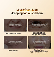 Appareil facial micro-courant portable à domicile - Anti-rides, lifting, anti-âge, étanche