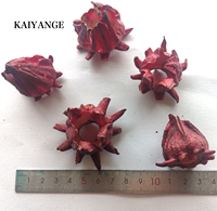 KAIYANGE Vente en gros de thé de roselle lyophilisé 100% naturel de haute qualité, thé de fleurs de hibiscus, thé de fleurs de roselle, thé santé