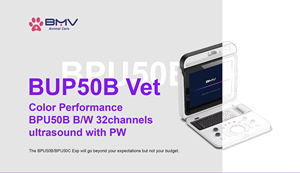 Échographie vétérinaire BPU50B <span class=keywords><strong>DICOM</strong></span> 3.0, Wi-Fi/Bluetooth, compatible avec les sondes linéaires/convexes HD Échographie N & B pour animaux - Product Image 2