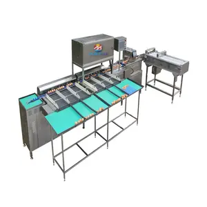 High Accuracy Reliable Automatic Egg Grading Machine