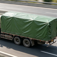 Bâche robuste enduite de PE verte, imperméable, protection UV, résistante aux déchirures pour tentes extérieures et auvents