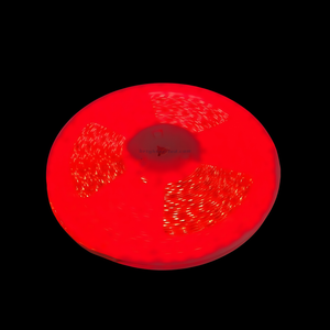 Epistar 5050 RGB 12V 60LEDs/M 5M cảnh quan <span class=keywords><strong>LED</strong></span> Strip ánh sáng <span class=keywords><strong>ETL</strong></span> CE ROHS phê duyệt - Product Image 4