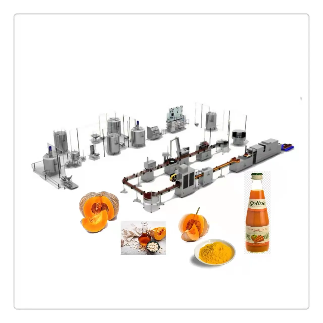 Turnkey Pumpkin power production line for sale