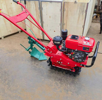 Motoculteur Mini-Fraise Diesel pour Agriculture et Labourage à Essence