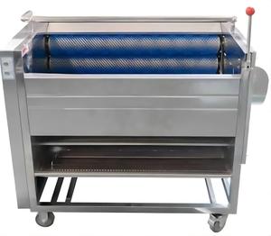 Industrial Brush Peeling Machine Stainless Steel <b>Vegetable</b> Cleaning Equipment for Carrots Potatoes Radish Sweet Potato - Product Image 3