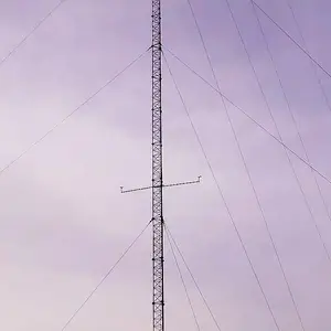 20M Hoge Kwaliteit Guy Draad Staal Buisvormige Communicatie Telecom Gestaagde Toren