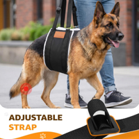 Attelle de Genou pour Chien Cruciate Care – Harnais de Soutien Simple en Néoprène Durable et Respirant pour L'Articulation Croisée du Genou (ACL) Abîmée de la Patte Arrière