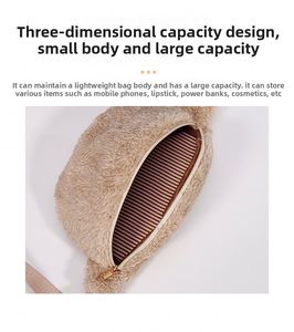 Sac bandoulière en peluche automne-hiver, style européen et américain, haut de gamme, tendance, sac de poitrine, nouvelle collection transfrontalière, sac pour femme de niche - Product Image 4