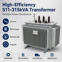 Transformateur de distribution immergé dans l'huile de qualité industrielle triphasé à enroulement en cuivre Wanbo-264 OEM personnalisé S11 315 kVA 10 kV