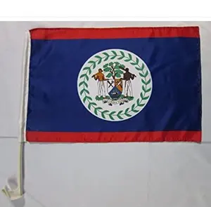 Hot sale good quality 12x18 inches custom Belize Double Sided Car Flag Window Flag