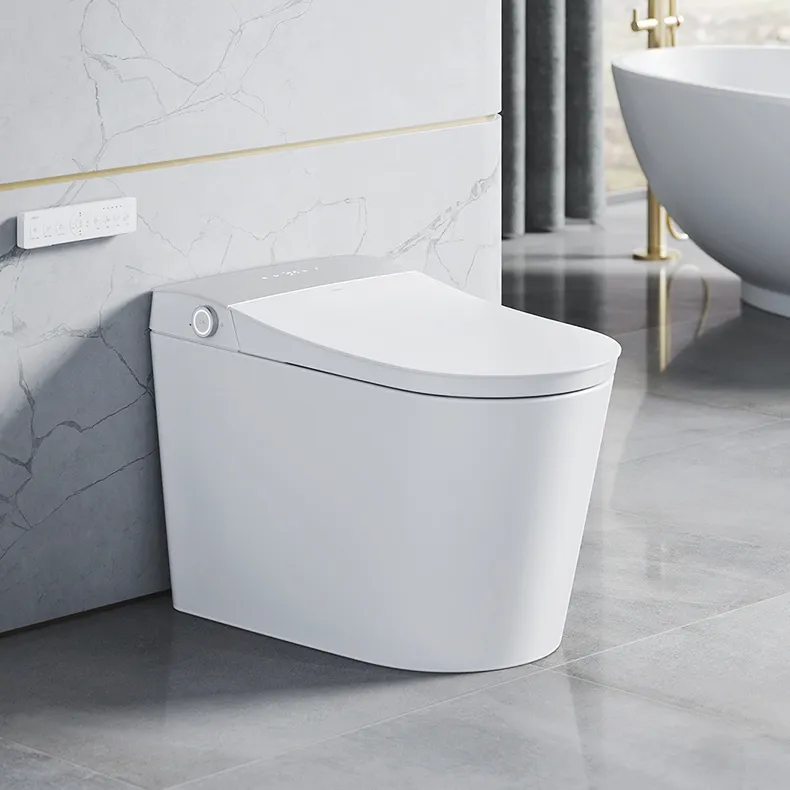 HEGII OEM neues Design 220V Smart Toilette für den südost asiatischen Markt WC Mädchen Smart Toiletten schüssel in China