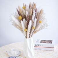 Bouquet de fleurs de roseau de pampa séchées naturelles de Style bohème pour la maison Table à manger décorations de salon fête des mères noël