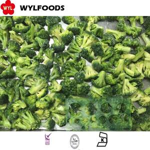 IQF-vegetales congelados, brócol, pescado, <span class=keywords><strong>precio</strong></span> de fábrica - Product Image 4
