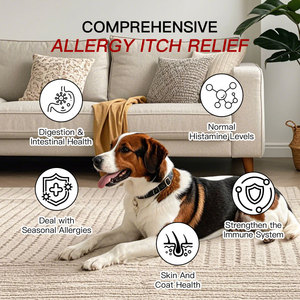 Vente en gros OEM Marque privée Friandises naturelles pour chiens contre les allergies Soins pour la <span class=keywords><strong>peau</strong></span> irritée et les allergies saisonnières - Product Image 3