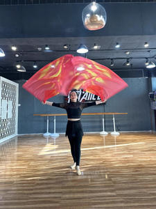 Nuevo Estilo <span class=keywords><strong>de</strong></span> <span class=keywords><strong>Disfraz</strong></span> <span class=keywords><strong>de</strong></span> Danza del Vientre para Mujer, Velo Degradado Rojo para Actuación con Bandera <span class=keywords><strong>Egipcia</strong></span>, Accesorio <span class=keywords><strong>de</strong></span> Escenario, Talla Única - Product Image 4