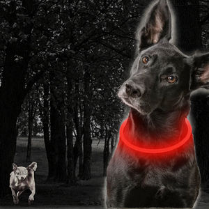 Collar de perro LED recargable por USB reflectante Animal sólido TPU brillo seguridad estándar correa para mascotas accesorios para caminar perros iluminados - Product Image 1
