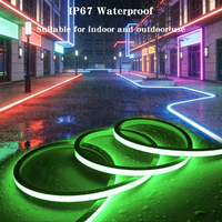 Tira de Luz LED de Neón Flexible de 12V 24V IP67, Tamaño Personalizado, RGB RGBW, Control Remoto WIFI por Aplicación Inteligente, Tubo de Silicona de Neón para Parques, KTV, Tiendas