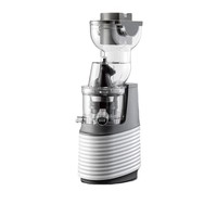 Zigifts Hot Selling 2025 Nieuwe Collectie Blender 300W 70Mm Hele Fruit Grote Mond Slow Juicer Hoogwaardig Fruit Buiten Oplaadbaar