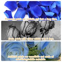 Pétales de roses séchées, bleu, 1kg, pour mariage, Saint-Valentin, table de fête, confettis, douche nuptiale, décoration