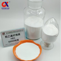 Épaississant de peinture de poudre d'hydroxyéthyle Cellulose HEC pour les revêtements à base d'eau