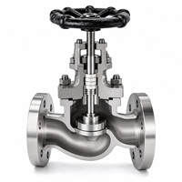 Válvula de Compuerta J41H CF8 Clase 300 de Acero Inoxidable 304 con Brida para Tuberías Industriales, Válvula de Control de Flujo con Sello de PTFE Virgen