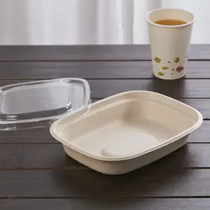 可生物降解的环保纸浆甘蔗渣餐具容器板材碗贝壳