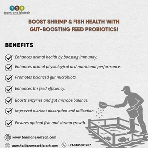 Aditivos Probióticos para la Alimentación de Peces que Mejoran la Salud en la Cultura Piscícola - Product Image 1