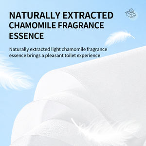 Toallitas Húmedas Desechables para Inodoro, 80 Unidades, 99.9% Antibacterianas, Biodegradables, de Poliéster, Secado Rápido en 7 Segundos - Product Image 6