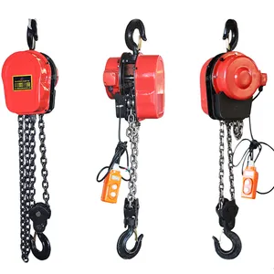 DHS Capacità 5 Ton Catena Pulley Block/Paranco Elettrico A Catena per la Vendita - Product Image 1