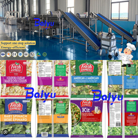 Baiyu commerciële water vortex fruit- en groentewasmachine met continu reinigingssysteem verse groenten snijlijn