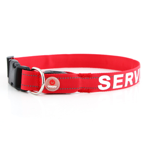 <span class=keywords><strong>Collar</strong></span> de perro de servicio antipérdida intermitente LED recargable por USB de nuevo diseño - Product Image 1