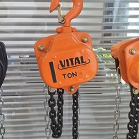 Palans à chaîne manuels Vital Chain Block, prix usine, 0,5 tonne, 1 tonne, 2 tonnes