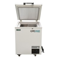 Congélateur coffre mini 68L à température unique, refroidissement direct, ultra-basse température, vente directe usine
