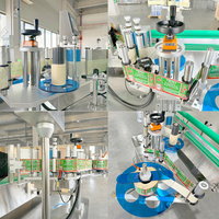 Étiqueteuse intelligente simple face LWT Étiquetage précis sur emballage en feuille de verre métallique avec pompe à composants PLC