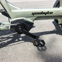 Tricycle électrique de livraison à 3 roues 20/26 pouces, chargement frontal, carrosserie ouverte, chargeur 48V 3A, certifié CEE pour adultes et personnes âgées