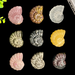 Vente en gros de sculptures en pierres précieuses mélangées, ammonites fossiles en cristal naturel, pour la décoration intérieure - Product Image 5