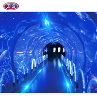 Système de projection interactif personnalisé, retour visuel dynamique, projection immersive sur mur et sol, scènes naturelles riches