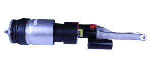 Amortisseurs pneumatiques <span class=keywords><strong>LinTech</strong></span> TYSL4248 1620366-00-G pour Model X Model S, construction durable, prix de gros - Product Image 3