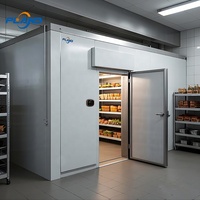 Chambre froide solaire intégrée avec unité de réfrigération Emerson/Copeland pour congélateur de poulet et fruits de mer