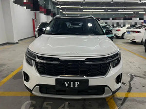   Seltos 2026 Edizione Premium Luxury 1.4T DCT SUV Compatto a Basso Consumo, Nuova Auto in Vendita - Product Image 2