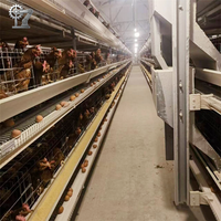 Équipement automatique en acier galvanisé pour poules pondeuses en batterie, cages pour poulets de ferme avicole, vente chaude