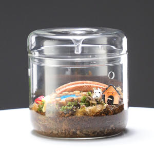 <span class=keywords><strong>Terrarium</strong></span> en Verre Wabi Kusa – Couvert avec Drain de Condensation, Ventilé pour Micro-Paysages - Product Image 4